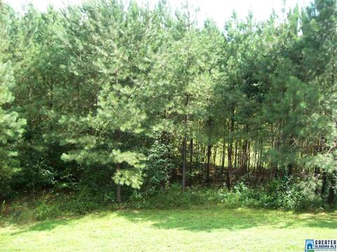 2177 Co Rd 61, Fruithurst, AL 36262 photo 6