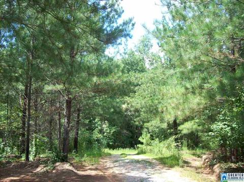 2177 Co Rd 61, Fruithurst, AL 36262 photo 5