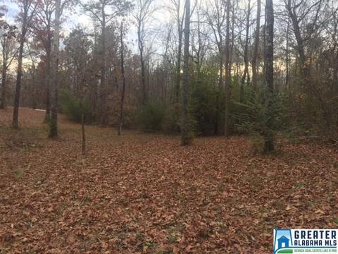 144 Prosperity Ln, Warrior, AL 35180 photo 5