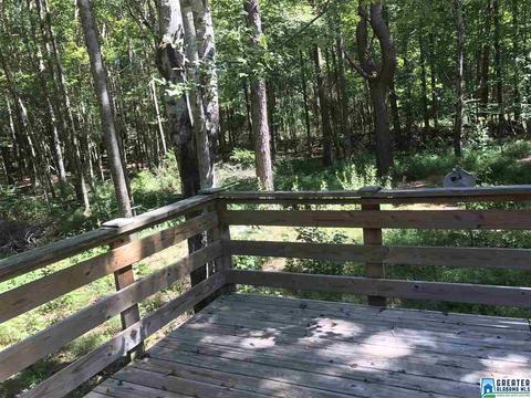 72 County Road 219, Piedmont, AL 36272 photo 23