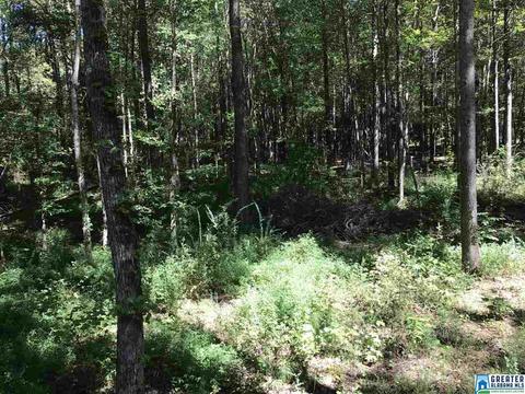72 County Road 219, Piedmont, AL 36272 photo 26