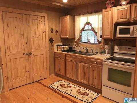 72 County Road 219, Piedmont, AL 36272 photo 10