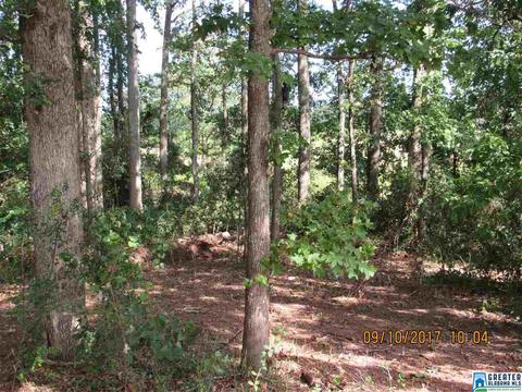 36 County Road 763, Clanton, AL 35046 photo 15