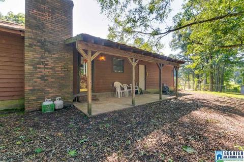 36 County Road 763, Clanton, AL 35046 photo 6