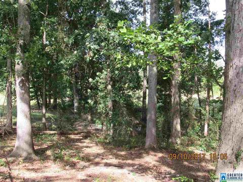 36 County Road 763, Clanton, AL 35046 photo 17