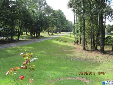 36 County Road 763, Clanton, AL 35046 photo 20