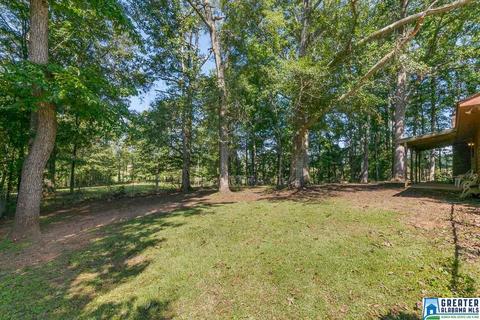 36 County Road 763, Clanton, AL 35046 photo 48