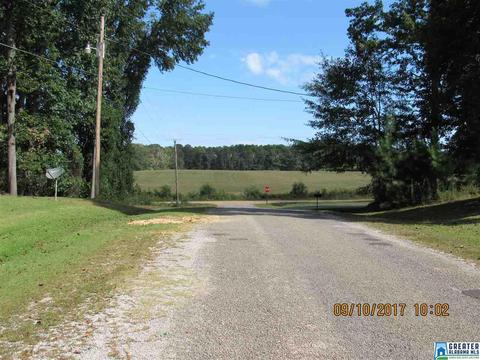 36 County Road 763, Clanton, AL 35046 photo 50