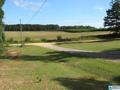 36 County Road 763, Clanton, AL 35046 photo 14