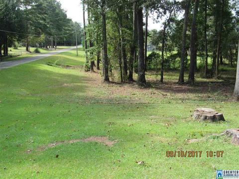 36 County Road 763, Clanton, AL 35046 photo 19