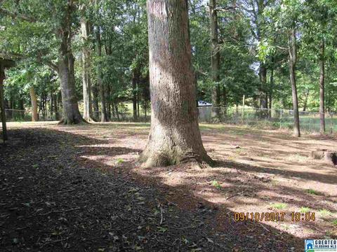 36 County Road 763, Clanton, AL 35046 photo 16