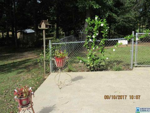 36 County Road 763, Clanton, AL 35046 photo 21