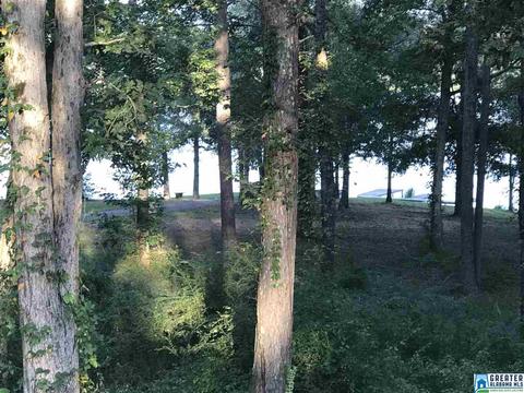 15 Arrowhead Dr, Riverside, AL 35135 photo 2