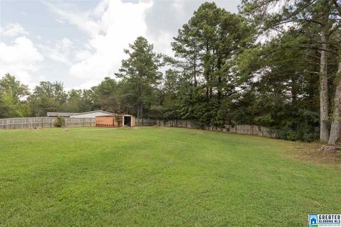 491 Mann Dr, Warrior, AL 35180 photo 36