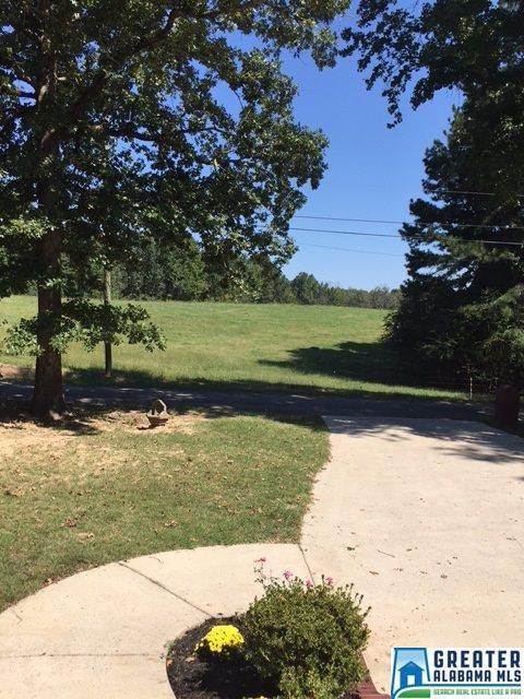 357 Tavel Rd, Warrior, AL 35180 photo 29