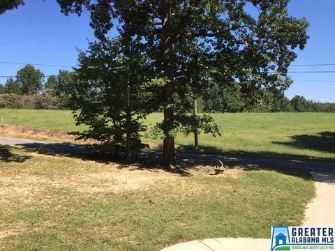 357 Tavel Rd, Warrior, AL 35180 photo 30
