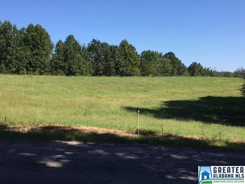 357 Tavel Rd, Warrior, AL 35180 photo 28
