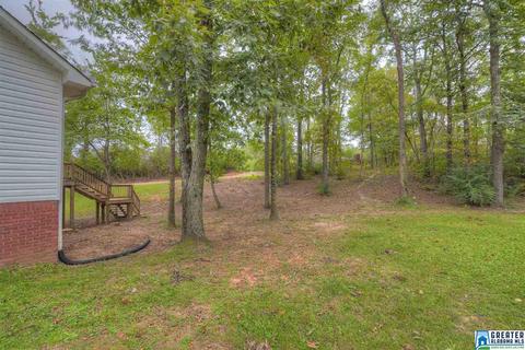 357 Tavel Rd, Warrior, AL 35180 photo 20