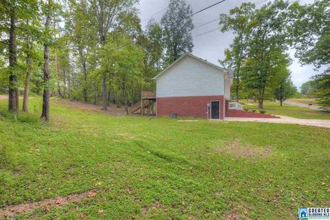 357 Tavel Rd, Warrior, AL 35180 photo 24