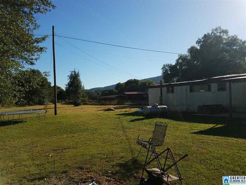 59 Pine Mountain Rd, Remlap, AL 35133 photo 3