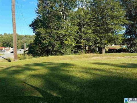 59 Pine Mountain Rd, Remlap, AL 35133 photo 5