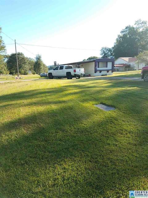 59 Pine Mountain Rd, Remlap, AL 35133 photo 6