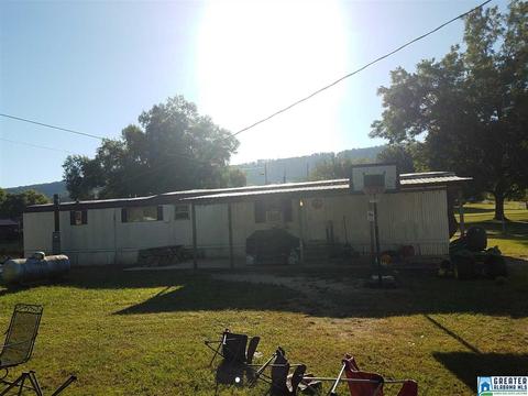 59 Pine Mountain Rd, Remlap, AL 35133 photo 4