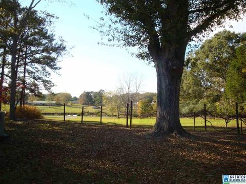 807 Enterprise Rd, Clanton, AL 35045 photo 13