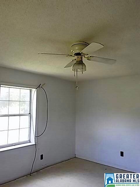 2283 Wells Loop, Jasper, AL 35503 photo 9