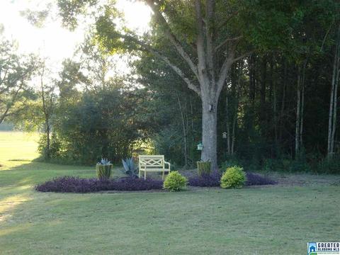 875 Temple Rd, Clanton, AL 35045 photo 33