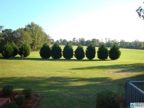 875 Temple Rd, Clanton, AL 35045 photo 32