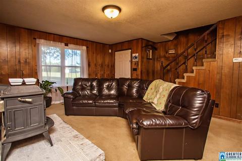 581 Fred Terry Rd, Locust Fork, AL 35097 photo 10