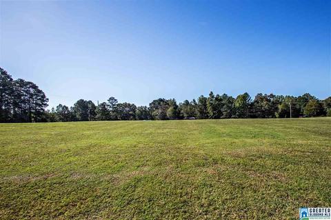 581 Fred Terry Rd, Locust Fork, AL 35097 photo 48