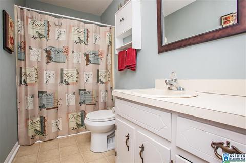 581 Fred Terry Rd, Locust Fork, AL 35097 photo 33