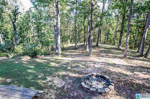 581 Fred Terry Rd, Locust Fork, AL 35097 photo 45