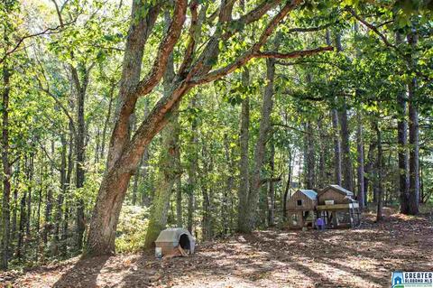 581 Fred Terry Rd, Locust Fork, AL 35097 photo 47
