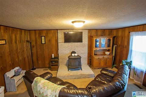 581 Fred Terry Rd, Locust Fork, AL 35097 photo 12