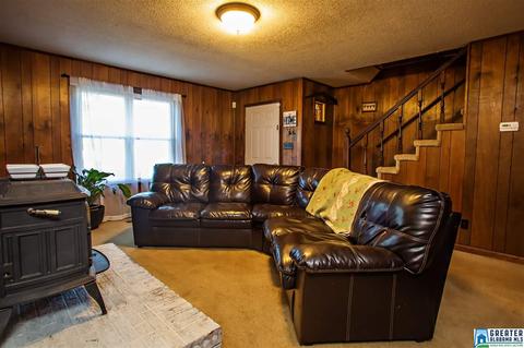 581 Fred Terry Rd, Locust Fork, AL 35097 photo 11