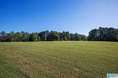 581 Fred Terry Rd, Locust Fork, AL 35097 photo 49