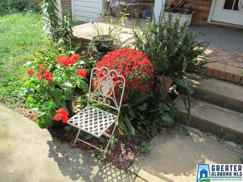 347 Pine Mountain Rd, Remlap, AL 35133 photo 35