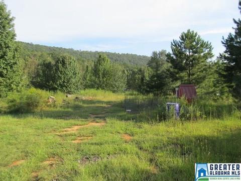347 Pine Mountain Rd, Remlap, AL 35133 photo 42