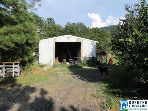 347 Pine Mountain Rd, Remlap, AL 35133 photo 45