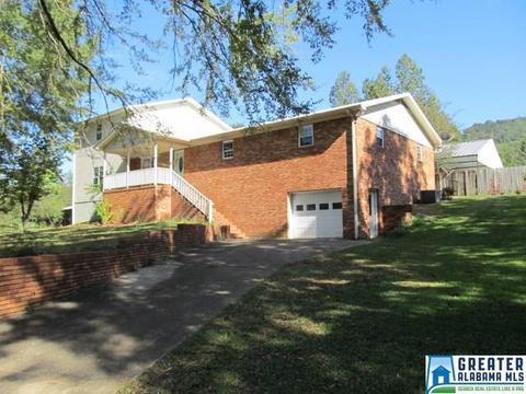 347 Pine Mountain Rd, Remlap, AL 35133 photo 1