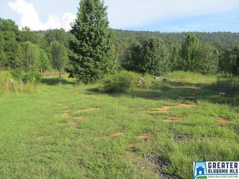 347 Pine Mountain Rd, Remlap, AL 35133 photo 41