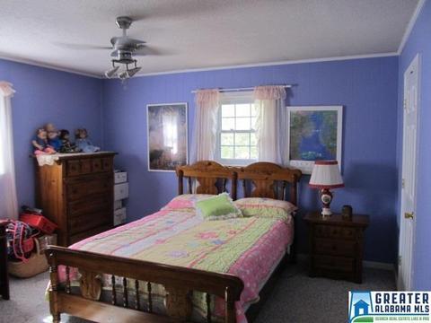 347 Pine Mountain Rd, Remlap, AL 35133 photo 20