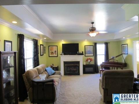 347 Pine Mountain Rd, Remlap, AL 35133 photo 4