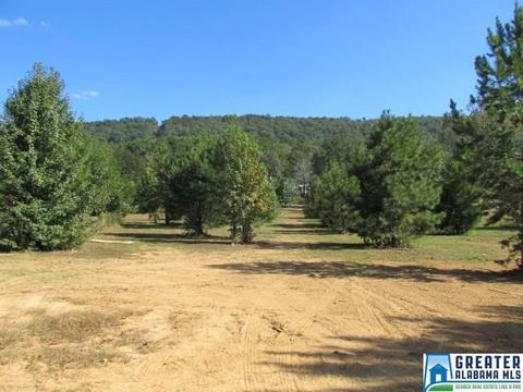 347 Pine Mountain Rd, Remlap, AL 35133 photo 34