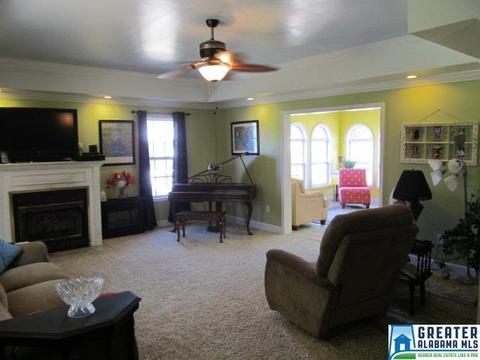 347 Pine Mountain Rd, Remlap, AL 35133 photo 8