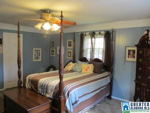 347 Pine Mountain Rd, Remlap, AL 35133 photo 16