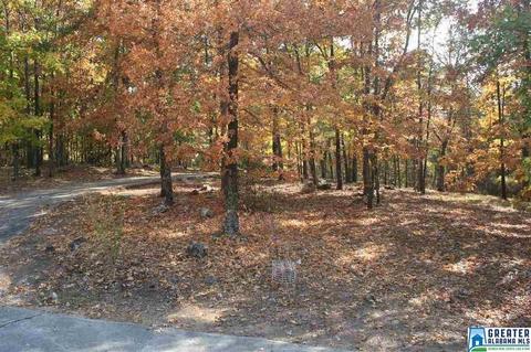2815 Indian Crest Dr, Birmingham, AL 35242 photo 6